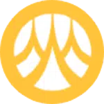 ct-icon